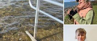 Önskemålet: Ett räcke för att kunna bada i centrala Vadstena · Kommunen: "Man badar på egen risk"