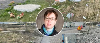 Nytt skräpkaos på Lövåsen – inga kontroller från kommunen trots tidigare problem: "Vi gör inte uppsökande tillsyn"