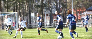 Visby Bois-juniorer flyttar till P18 IK