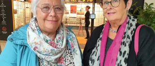 Folkomröstning i Natofrågan – eller inte? ✓Så tycker Luleåborna