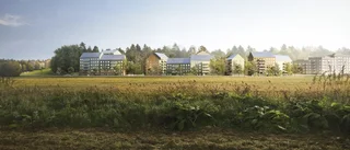 "200-åriga träd är oersättliga" • Omstridd byggplan i Uppsala hamnar i domstol 