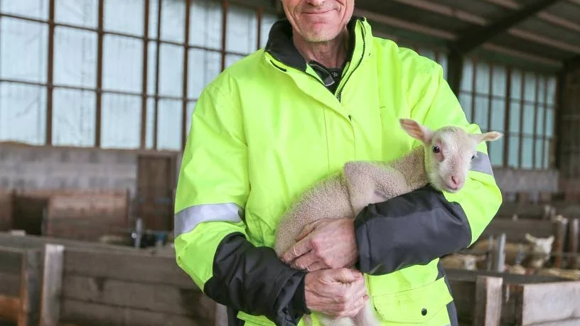 Ove Andersson har varit lammbonde sedan 2004 och hållit i ett stort antal lamningshjälpskurser.