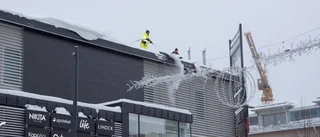 Takskottaren: "Det är faktiskt kaos"
