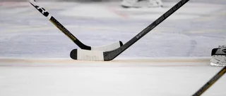Facket: "Luleå Hockeys tränare borde bytas ut"