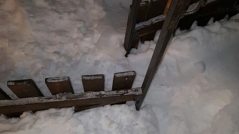 Entré. Grinden gick inte att stänga, knappt passera på grund av all snö.