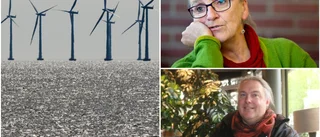 MP-toppens utspel efter intresset för vindkraftverk i Piteå skärgård: "Jag tycker att det är för jävligt"