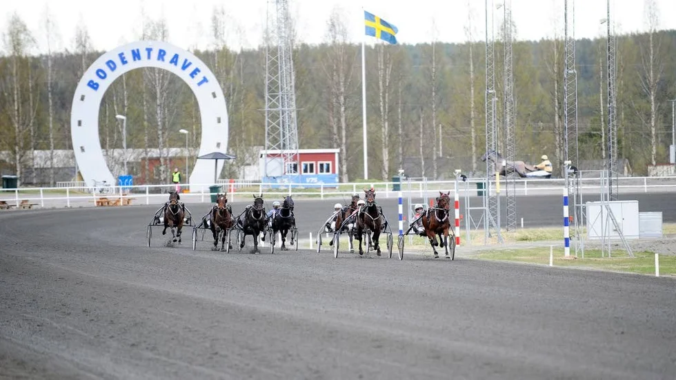 Bodentravet