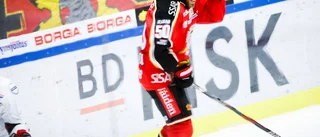 BETYGEN: Sju spelare i Luleå Hockey får underkänt