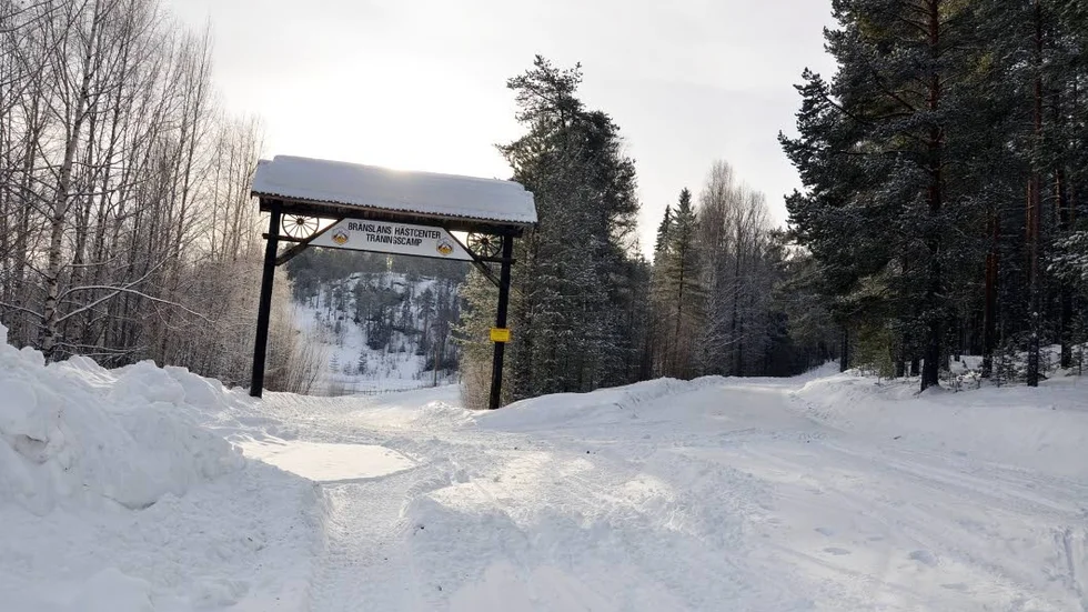 På Bränslans häststigar på Åberget har man sett en till skabbangripen räv.