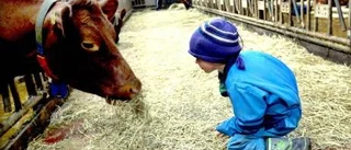 Tillbakablick på 2010-talet