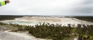 Naturvårdsverket: Risk att myren har dränerats