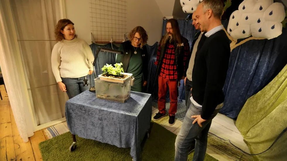 Petra Lindberg, Lisa Berg, Per Widerström, Tom Sandström och Andreas Pettersson är med och arrangerar "Forskarfredag".