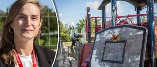 Här växer öns nya lekplats fram