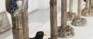 Rostiga flundror och spröda fjärilar på GKF