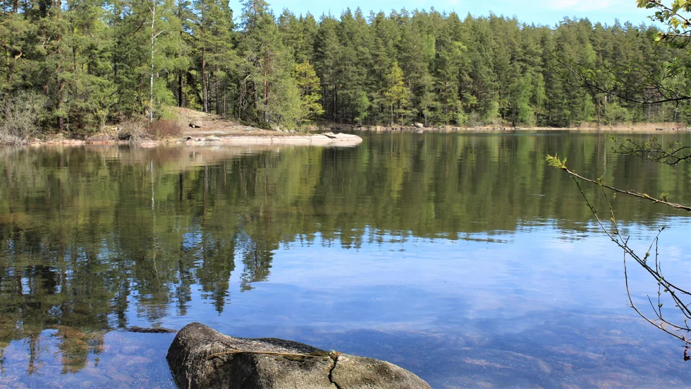Vid Bjälnäs naturreservat möter land vatten och utmed sjön Sommens strand har klipporna slipats kala.