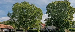 Hästgård till salu för 12 miljoner
