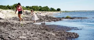 Släke sabbar sommarstranden