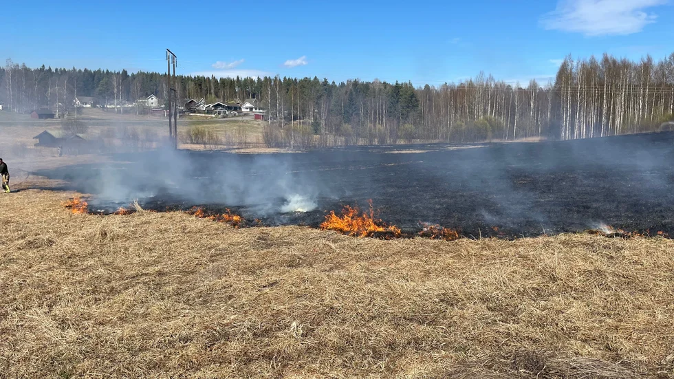 På tisdagen inträffade en gräsbrand på Sjungande dalen.
