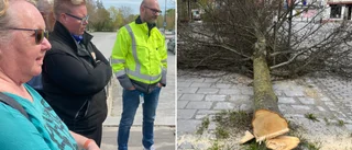 Utredning startad efter trädfällningen • Polisanmälan gjord • Trafikverket: ”Se om vi kan göra nåt för bygden”
