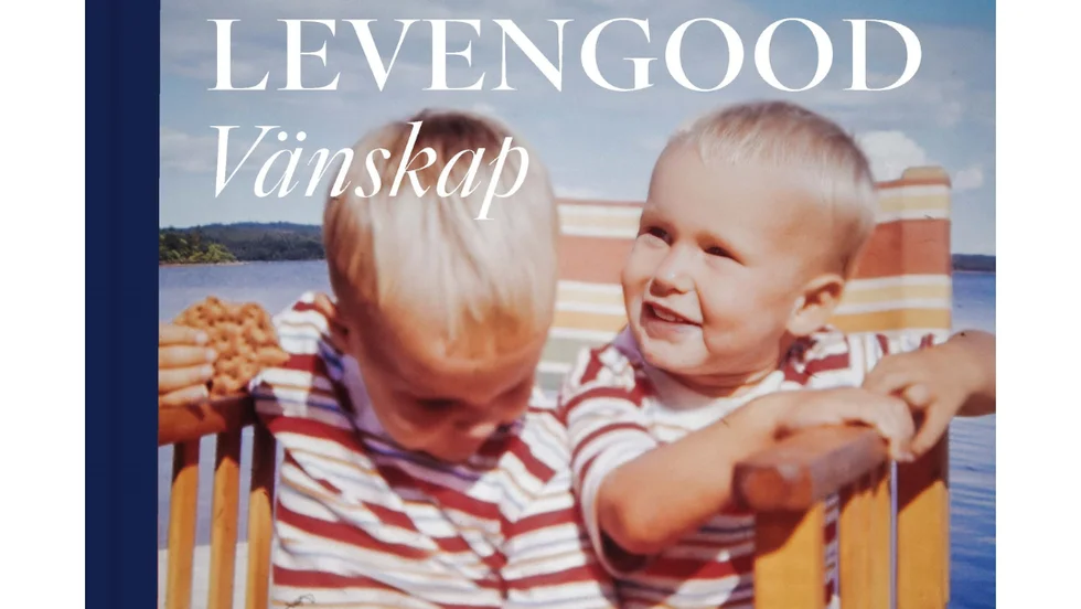 Vänskap