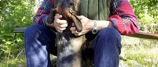 Här är folkets favorit som granne