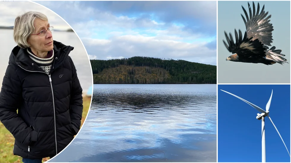 Ingela Caswell representerar ett 50-tal fastighetsägare som har begärt att länsstyrelsen ska göra ett omtag om vindkraften i Tomasliden. De anser att den fågelinventering som gjorts är undermålig och inaktuell.