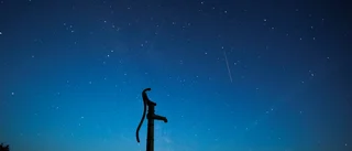 Lördag: Se meteorregnet över jorden