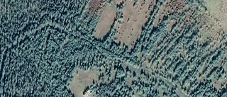 42-åring ny ägare till lantbruksfastighet i Glommersträsk - prislappen: 240 000 kronor