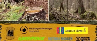 Satsar på motarrangemang – Åt skogen! ska märkas vid EU-mötet