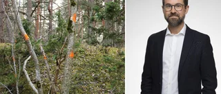Efter kritikstormen mot kommunen – oklar framtid för projektet