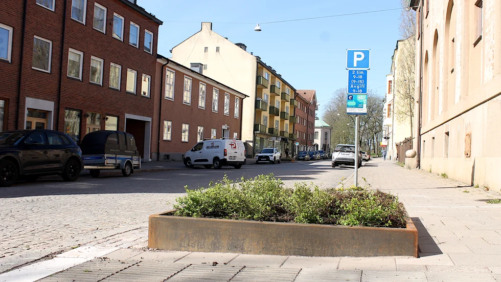 Undervegetationen i de nya lådorna på Poppelgatan är planterad. Men träden kommer först nästa år.