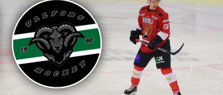 Sensationell comeback bäddar för nya heta hockeyderbyn