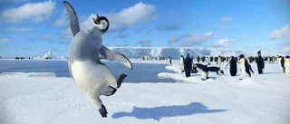 Pingviner räddar en klen animationshöst