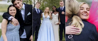 Mingel och firande i Luleå stadspark