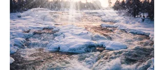 Norrbotten tar plats i almanacka