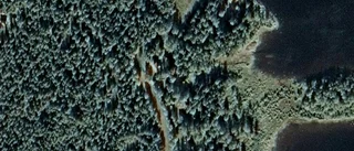 81-åring ny ägare till stuga på Seskarö - 250 000 kronor blev priset