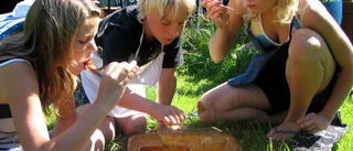 Smartaste sommarlovsmaten