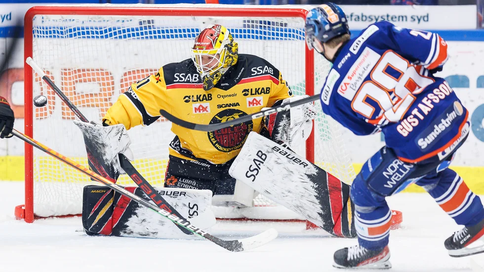 Luleå Hockeys målvakt Matteus Ward har förlängt sitt kontrakt med Luleå Hockey. 