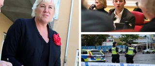 Partierna vill att Linköping blir testkommun för vistelseförbud
