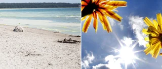 Sommarvärmen drar in – här är det varmast i vattnet