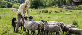 Viljan styr på och utanför planen