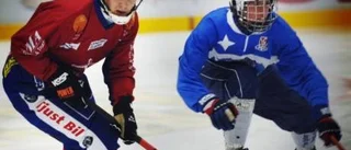 Målfarliga nyförvärv i Tjust Bandy