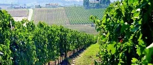 Italien Europas hetaste  vinland