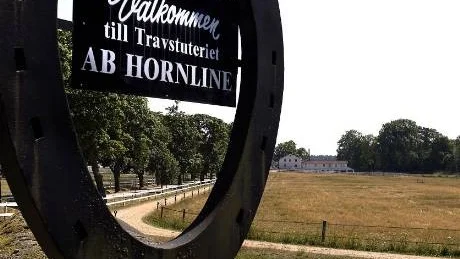 I säljunderlaget för Horns egendom slås den framtida exploateringen för området upp som en stor möjlighet till goda förtjänster. Över 400 miljoner ska gå att tjäna in på tomtförsäljning.Arkivfoto: Anders Steiner