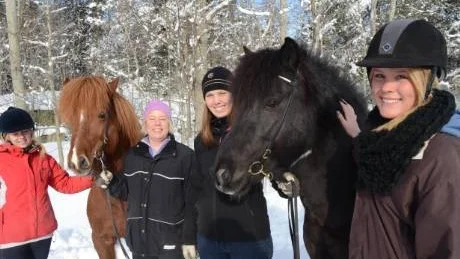 Kim Nilsson, Vimmerby, och Linda Flinck, Oskarshamn, båda elever på Gamlebygymnasiets hästlinje flankerar Nina Bergholtz och Emma Johansson som håller i hingstarna Bardur och Glaesir.