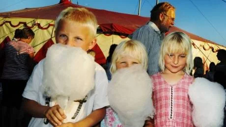 Bakom sockervadden döljer sig Albin, Vilda och Maja Tejler. Foto: Ellen Kindstrand