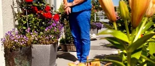 Låt livet spira på balkong