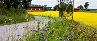 För oss är landsbygden på riktigt