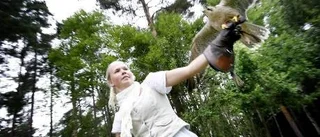Rovfåglarna är Idas favoriter