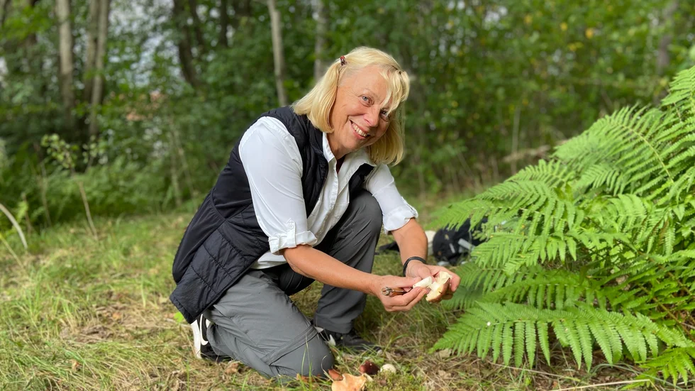 "Trots torka finns det ändå både kantareller och annan matsvamp nu, även om det brukar finnas mer vid den här tiden", säger Annika Fritsch.